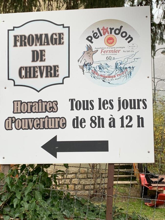 La Voutee 5 Epis Avec Bain Finlandais Prive Au Manoir Du Charme Gorges Du Tarn Bed & Breakfast Quezac  Eksteriør bilde