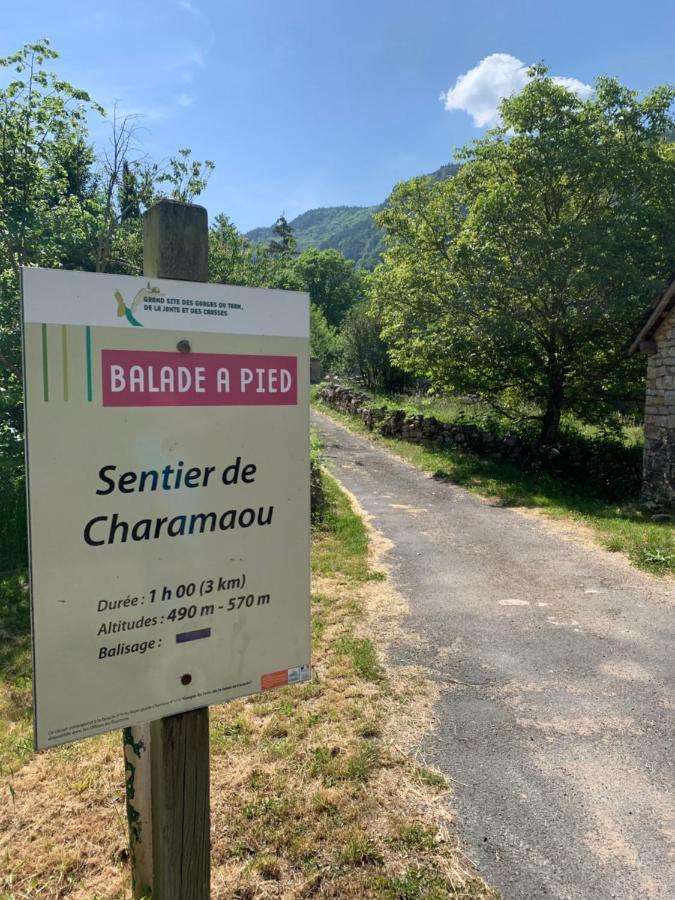 La Voutee 5 Epis Avec Bain Finlandais Prive Au Manoir Du Charme Gorges Du Tarn Bed & Breakfast Quezac  Eksteriør bilde